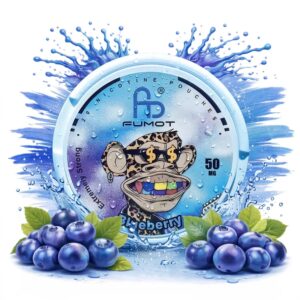 Fumot White Snus – Nicotine Pouches / Nikotinbeutel